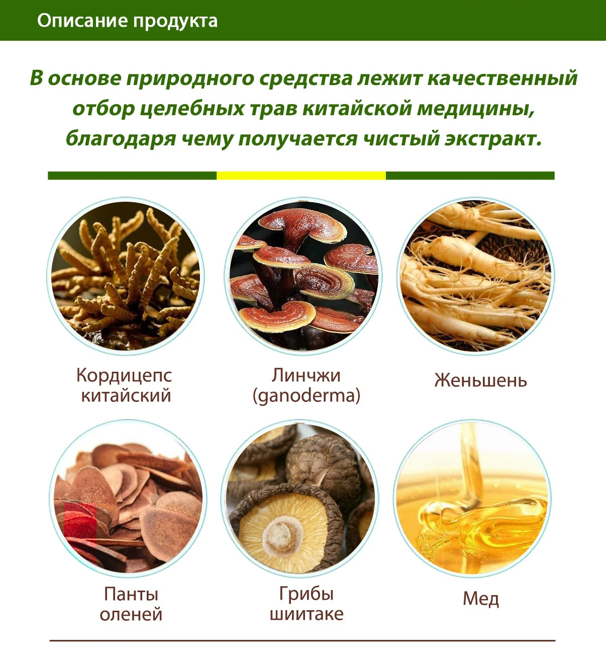 Кордицепс «Источник жизненной силы», 60 SV