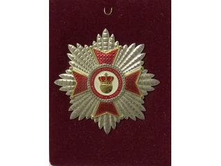Медаль за достижение высоких показателей в современных экономических условиях и социальную значимость предприятия в своей отрасли и в развитии Государства - Члена Таможенного Союза.
