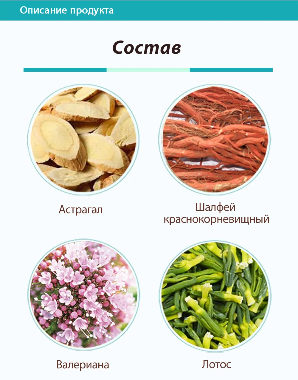 «Сюе Бань Люй» (Очистка крови), 50 SV