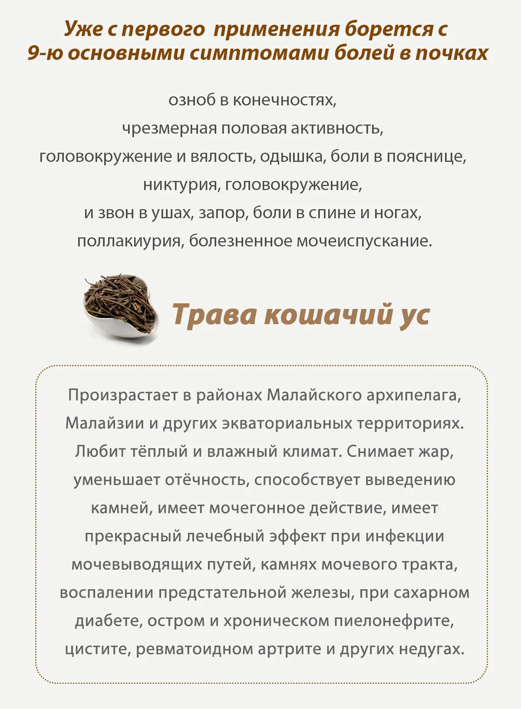 Почечный чай, 40 SV
